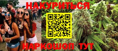 индика Тула