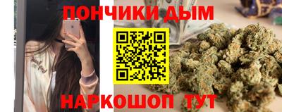 индика Тула