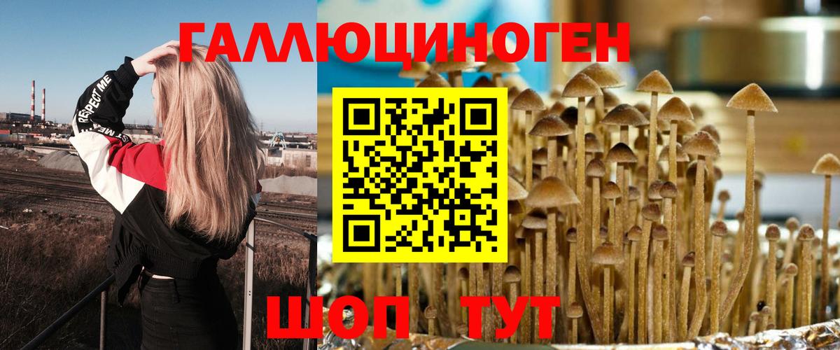 хочу наркоту  Галлюциногенные грибы Psilocybe  Вход с VPN  Светлоград 